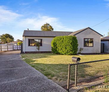 3 Bedroom Home with Great Shedding - Photo 6