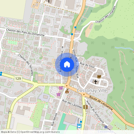 Grand-Rue 13, 1304 Cossonay-Ville