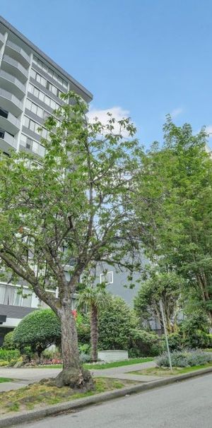 Sundowner Apartments - Photo 1