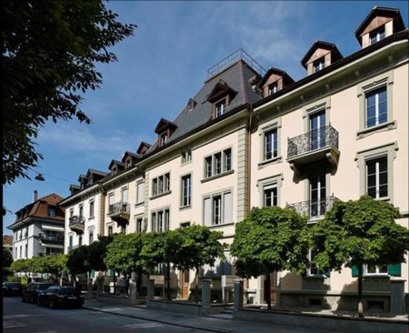 2.5 Zimmer Wohnung - Photo 4