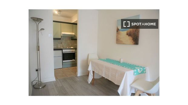 1 bedroom apartment for rent in Dublin - Photo 1