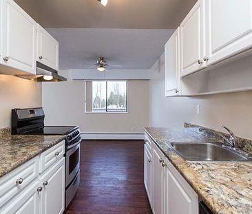 Skyview Apartments - 1 Bedroom - Photo 3
