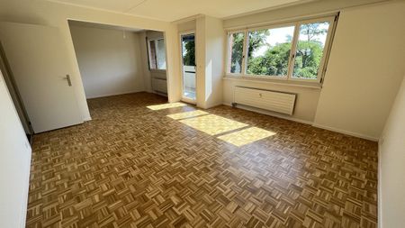 Urbanes Wohnen im Grünen: 2019 sanierte 3-Zimmerwohnung in Muttenz - Photo 5