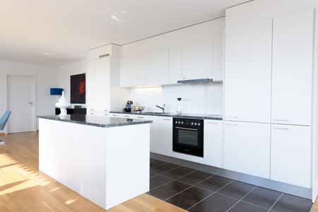 5.5 Zimmer, 132 m², 3. Stock - Foto 3