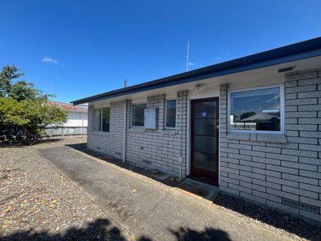 3/206 Ruahine Street, Roslyn, Palmerston North - Photo 3