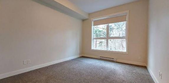 2 bedroom 2 bath for rent - $2525 - Photo 2