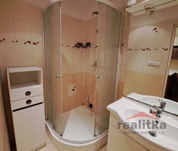 Pronájem bytu 1+1 46 m² - Fotografie 3