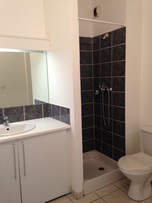 Location Appartement 1 pièce 22m² RODEZ 12000 - Photo 1