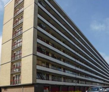 Korfoedreef 3562 SB Utrecht - Foto 1