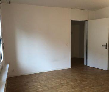 2.5 Zimmer, 42 m², 2. Stock - Photo 4