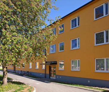 Rådjursvägen 14 - Foto 5