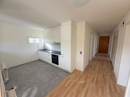 "Rénové, Beau, grand appartement avec balcon!" - Photo 5