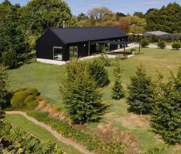 Rural Black Beauty - Photo 5