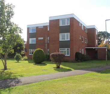 3 bedroom apartment to rent - Photo 5