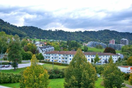 Vie urbaine dans l’appartement d’affaires Sihlhof - Photo 3
