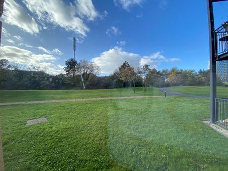 Ellerman Road, Liverpool - Photo 3