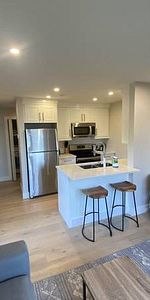 BEAUTIFUL NEW FULLY FURNISHED SHORT TERM RENTAL - Photo 3