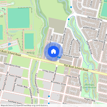 4 Whimbrel Road, Flat Bush, Manukau City