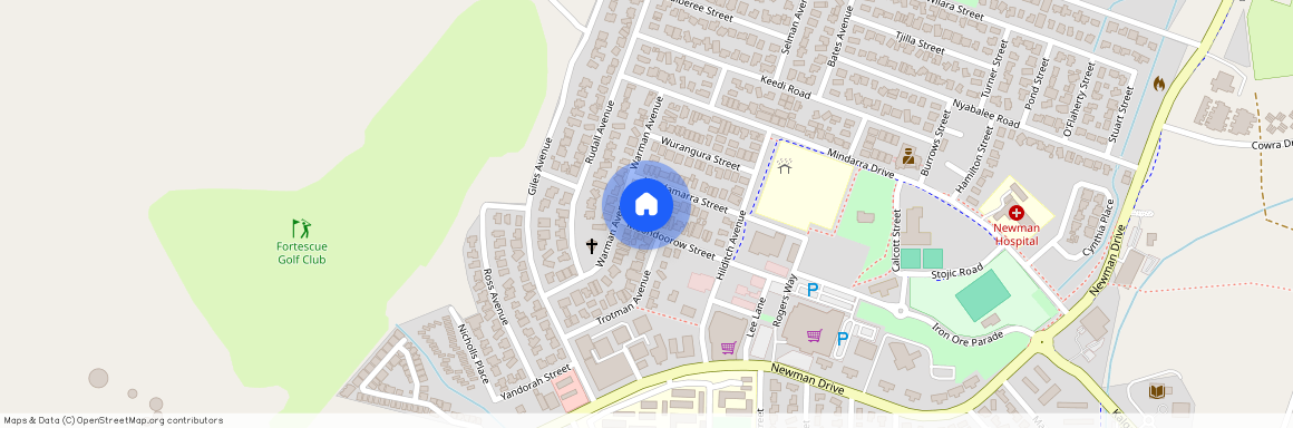 4B Moondoorow Street, NEWMAN WA 6753