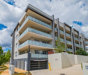 34/60 Tishler Street, Wright ACT 2611 - Apartment For Rent | Domain - Photo 5