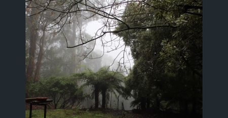 AVAIL LATE MARCH - Photo 2