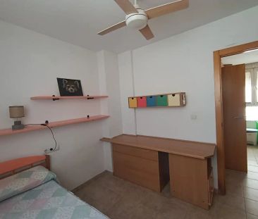 Oliva - Photo 3