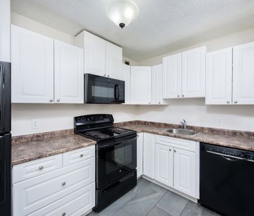 Central Park - Photo 3