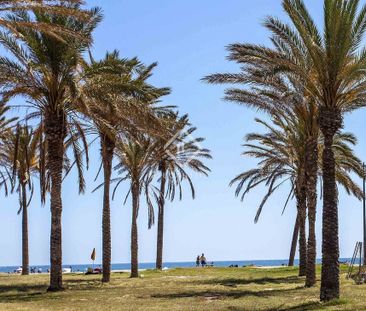 Alboraya, Valencian Community 46120 - Photo 2