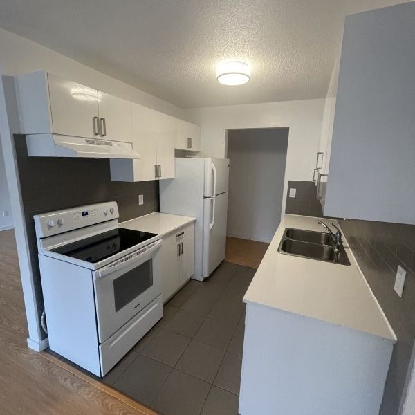 Blueridge Apartments - Photo 1