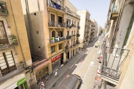 Carrer Nou de la Rambla, Barcelona, Catalonia 08001 - Photo 5