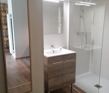 APPARTEMENT MEUBLE T2 A LOUER - SECTEUR GARE - Photo 5