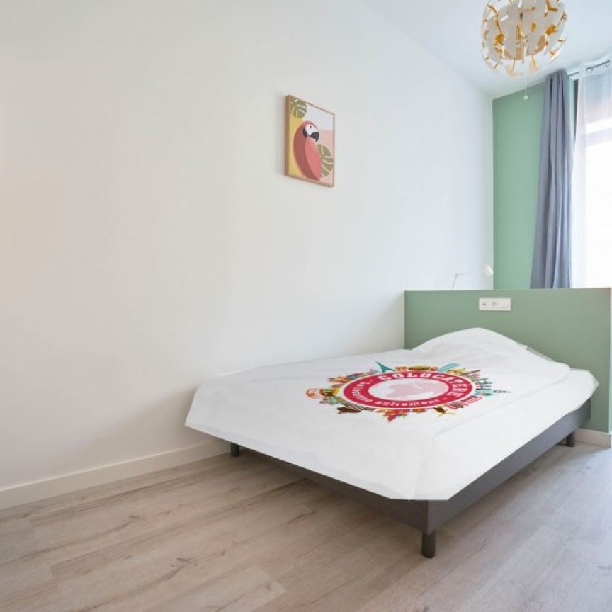 WINOC CHOCQUEEL P Colocation 10 chambres à Tourcoing - Photo 1