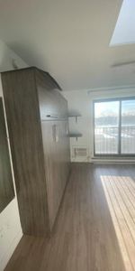 1 1/2 - Montréal (La Petite-Patrie) - 950 $/mois - Photo 4