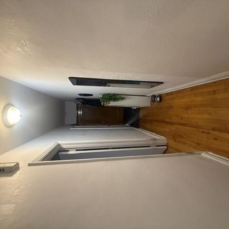 3 1/2 - Montréal (Le Plateau Mont-Royal) - 1 500 $/mois - Photo 3