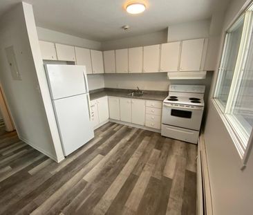 35 Rue Lafreniere (Gatineau) Beau 3 1/2 à Louer - Photo 2