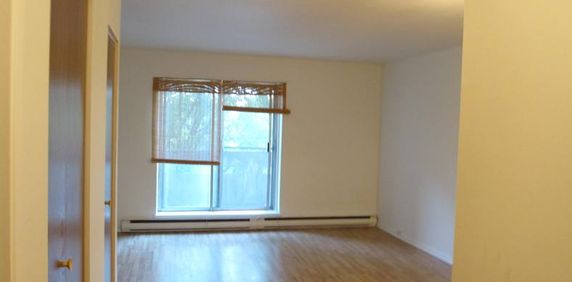 Appartement studio / bachelor à louer Ville St-Laurent - Bois-Franc à Plaza Oasis - Photo 2