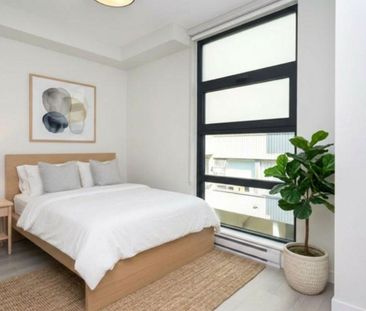 Kirya Apartments - Bachelor - Photo 6