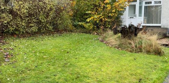 1 bedroom villa to rent - Photo 2