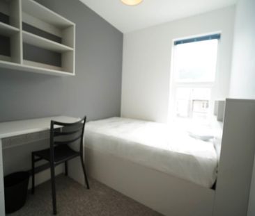 Haulfryn Deiniol Road - Photo 4