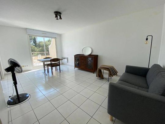 Location appartement 2 pièces 44.52 m² à Montpellier (34000) - Photo 1