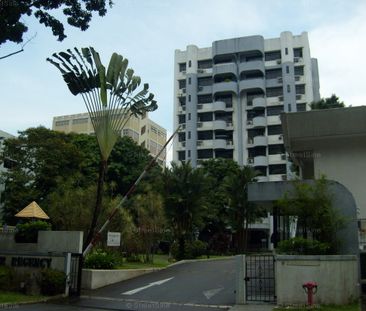 Balestier Regency (D12), Apartment - For Rent - Photo 5
