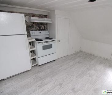 2 1/2-105, rue Sainte-Anne, Saint-Sauveur à louer - Photo 4