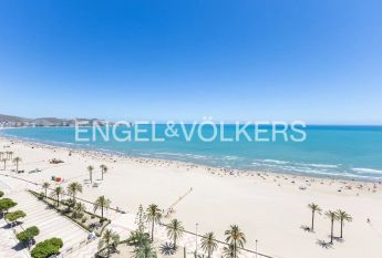 Cullera