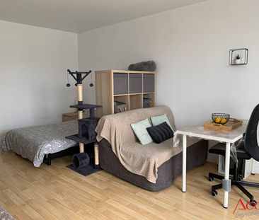 Location Appartement 1 pièce 27m² - Photo 6