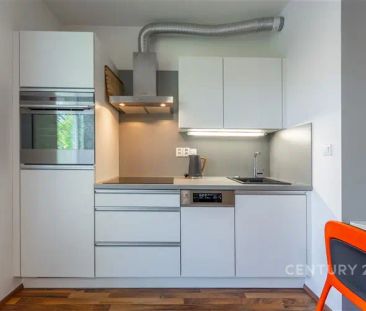 Pronájem bytu 1+kk s terasou a zahradou, PrahaUhříněves - Photo 6