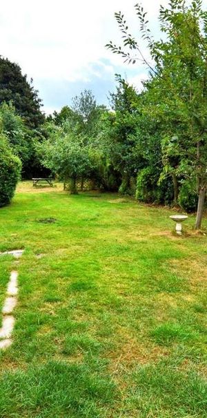 4 bedroom detached house to rent - Photo 1