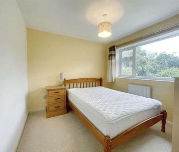 Borrowdale Drive, Norwich, NR1 - Photo 5