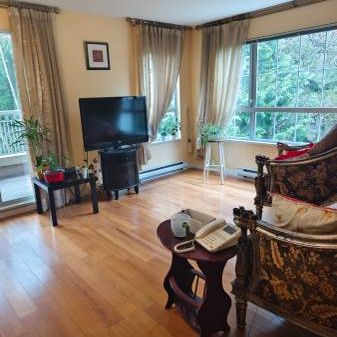 Coquitlam 2 bedrooms apartment for rent - Photo 1