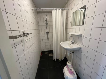 Kamers beschikbaar voor één jaar midden in het centrum!, Groningen - foto 4