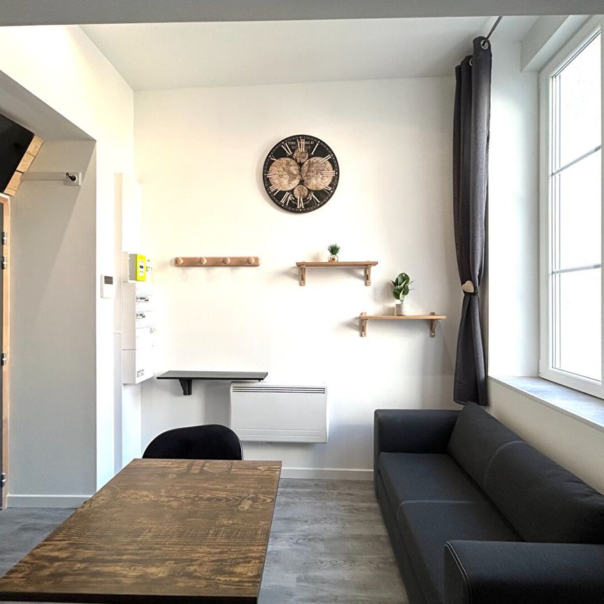 Appartement F1 16 m² AVEC MEZZANINE en location à SAINT ETIENNE - Photo 1
